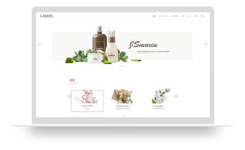 魔艺建站 从免费自助模板到高端定制的全方位网站建设解决方案