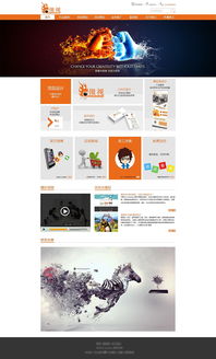 网站设计 从网页到整体的艺术与科学